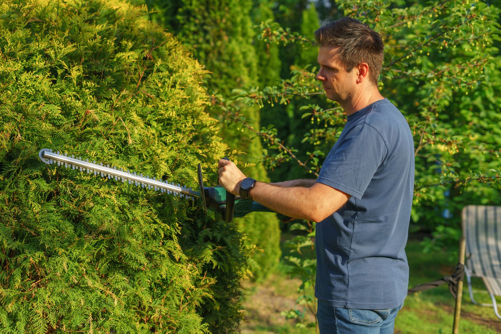 Cutting a hedge with a trimmer